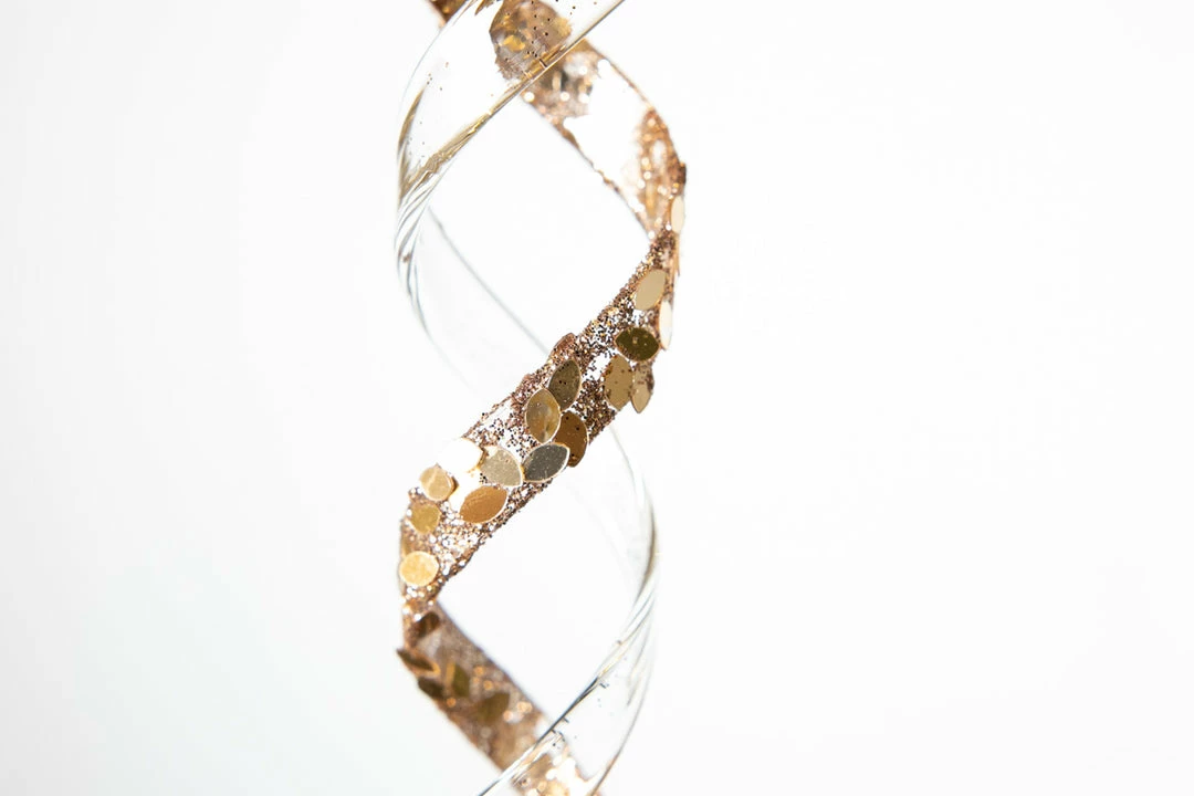 Best deal π The π Christmas Palace 11" SPIRAL ICICLE WITH GOLD GLITTER ORNAMENT SET OF 12 π Christmas Ornaments π 3 The Christmas Palace 11" SPIRAL ICICLE WITH GOLD GLITTER ORNAMENT SET OF 12 Christmas Ornaments