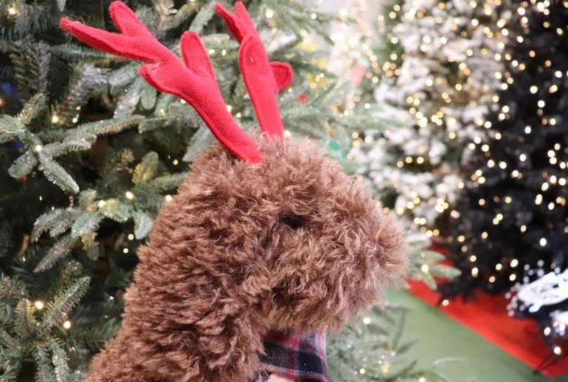 Cheap π The π
Christmas Palace 22" BROWN πΆ DOG WITH RED ANTLERS Deers, Bears & Swans π€© 4 The Christmas Palace 22" BROWN DOG WITH RED ANTLERS Deers, Bears & Swans