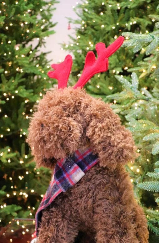 Cheap π The π
Christmas Palace 22" BROWN πΆ DOG WITH RED ANTLERS Deers, Bears & Swans π€© 2 The Christmas Palace 22" BROWN DOG WITH RED ANTLERS Deers, Bears & Swans