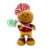 The Christmas Palace 11" PEPPERMINT GINGERBREAD BOY
