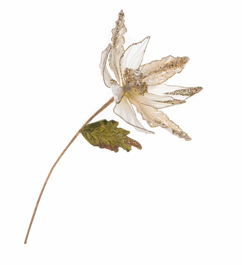 Best Pirce π― The π
Christmas Palace 20" CREAM GLITTER POINSETTIA SET OF 6 π 1 The Christmas Palace 20" CREAM GLITTER POINSETTIA SET OF 6