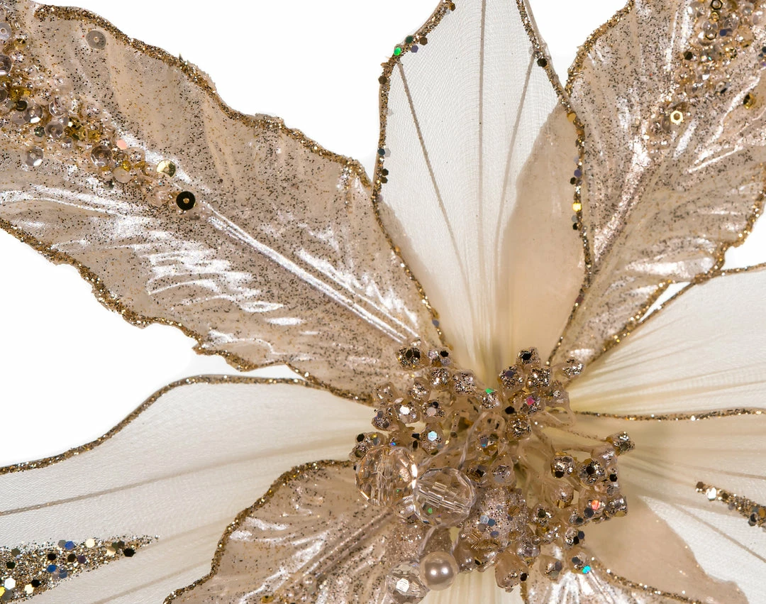 Best Pirce π― The π
Christmas Palace 20" CREAM GLITTER POINSETTIA SET OF 6 π 3 The Christmas Palace 20" CREAM GLITTER POINSETTIA SET OF 6