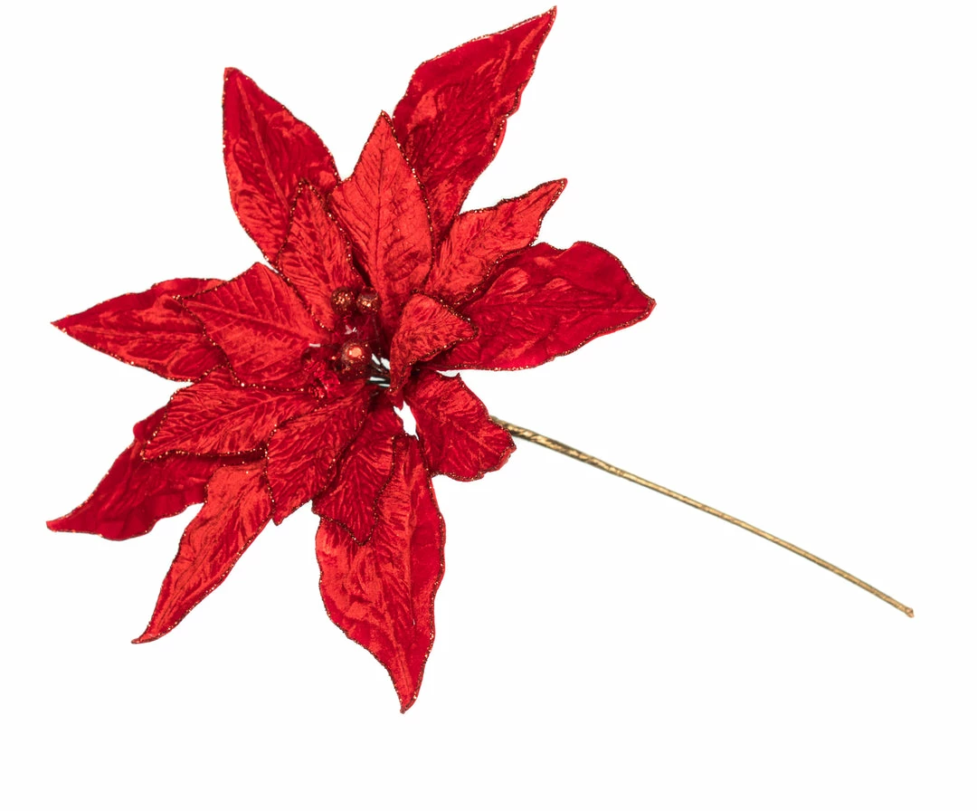 Outlet π The π
Christmas Palace 15" RED POINSETTIA PICK SET OF 6 Flowers π₯° 1 The Christmas Palace 15" RED POINSETTIA PICK SET OF 6 Flowers