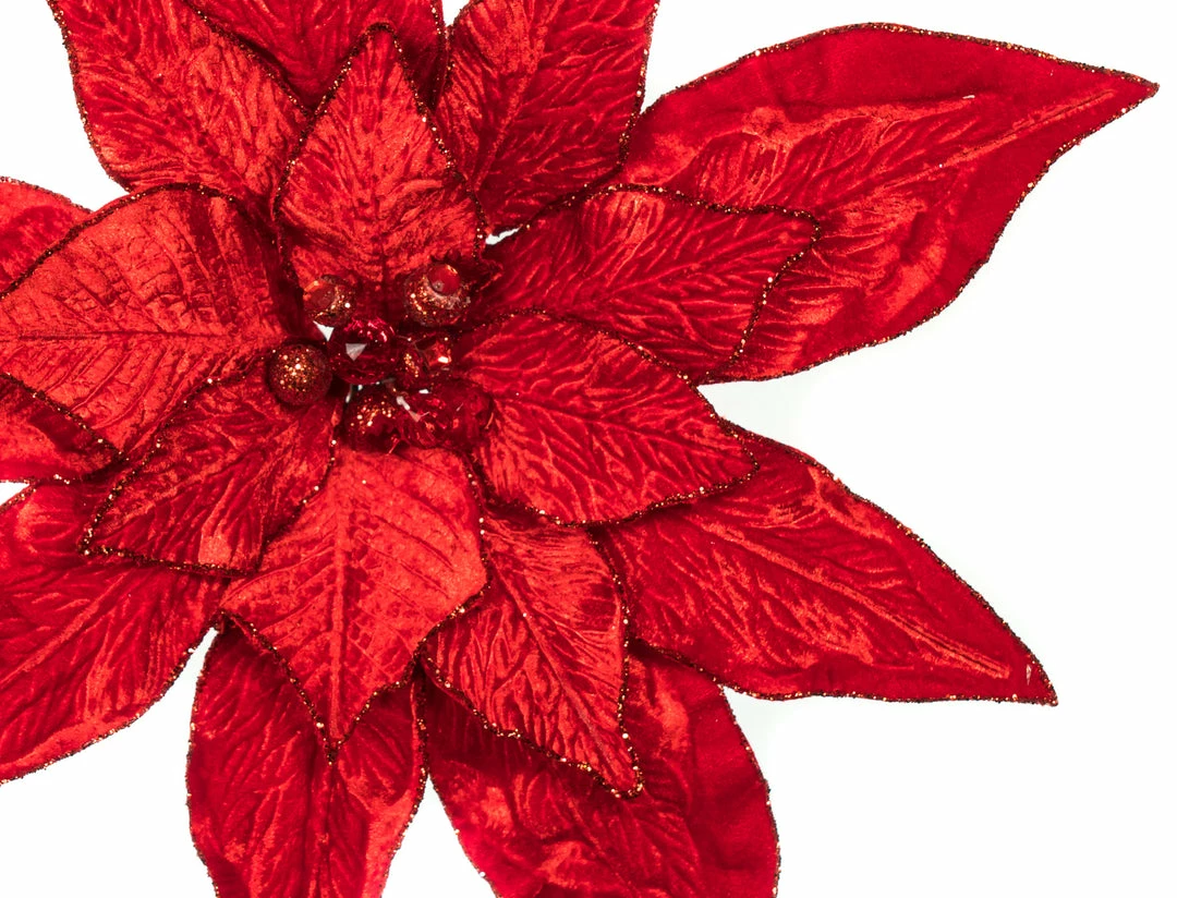 Outlet π The π
Christmas Palace 15" RED POINSETTIA PICK SET OF 6 Flowers π₯° 3 The Christmas Palace 15" RED POINSETTIA PICK SET OF 6 Flowers