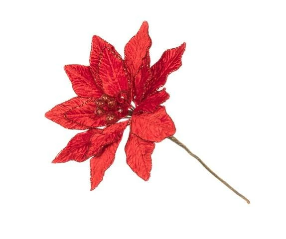 Budget β The π Christmas Palace 9" RED VELVET POINSETTIA PICK SET OF 6 Yuletide Traditions π€© 1 The Christmas Palace 9" RED VELVET POINSETTIA PICK SET OF 6 Yuletide Traditions