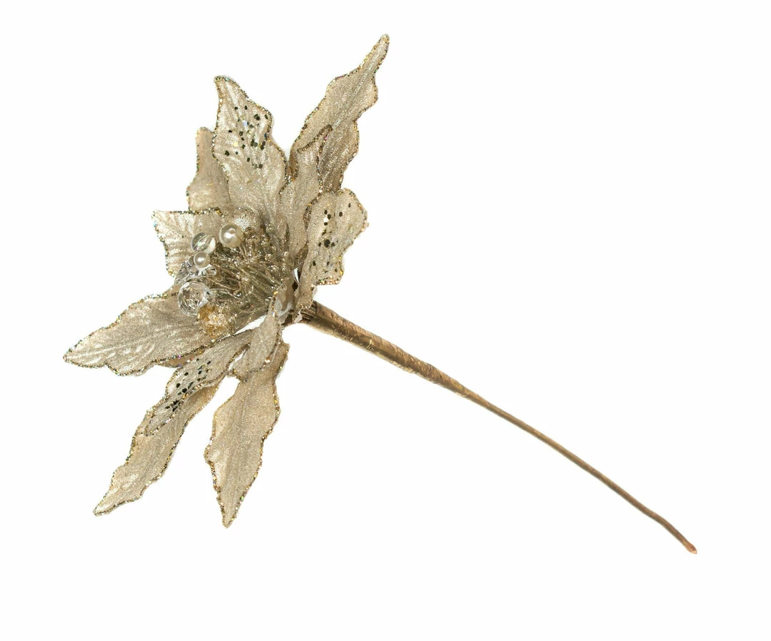 Deals π The β Christmas Palace 12" CHAMPAGNE POINSETTIA SET OF 6 Pretty In Pink π 1 The Christmas Palace 12" CHAMPAGNE POINSETTIA SET OF 6 Pretty In Pink