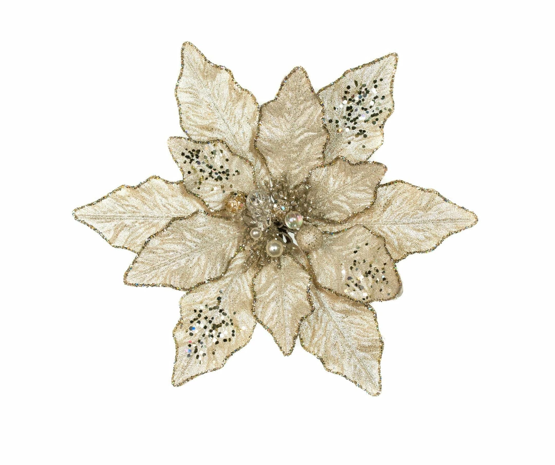 Deals π The β Christmas Palace 12" CHAMPAGNE POINSETTIA SET OF 6 Pretty In Pink π 3 The Christmas Palace 12" CHAMPAGNE POINSETTIA SET OF 6 Pretty In Pink