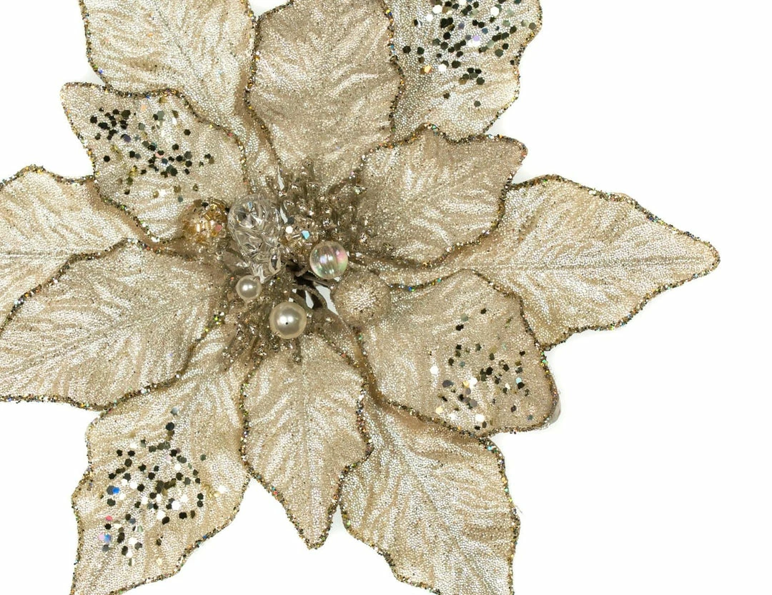 Deals π The β Christmas Palace 12" CHAMPAGNE POINSETTIA SET OF 6 Pretty In Pink π 2 The Christmas Palace 12" CHAMPAGNE POINSETTIA SET OF 6 Pretty In Pink