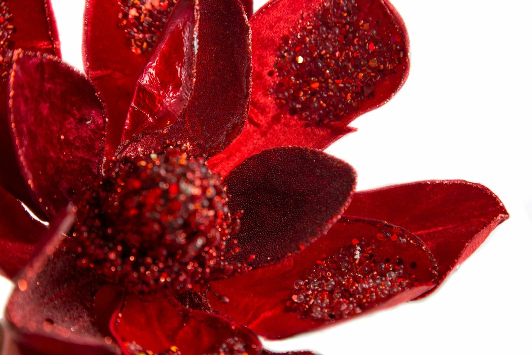 Best deal β The π Christmas Palace Flowers 28" RED MAGNOLIA SET OF 6 π 5 The Christmas Palace Flowers 28" RED MAGNOLIA SET OF 6