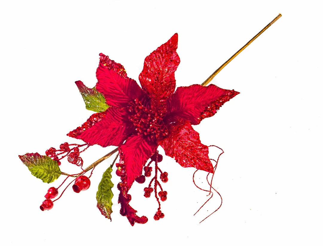 Discount π The β Christmas Palace Flowers 17" RED POINSETTIA WITH LEAVES PICK SET OF 6 π― 1 The Christmas Palace Flowers 17" RED POINSETTIA WITH LEAVES PICK SET OF 6