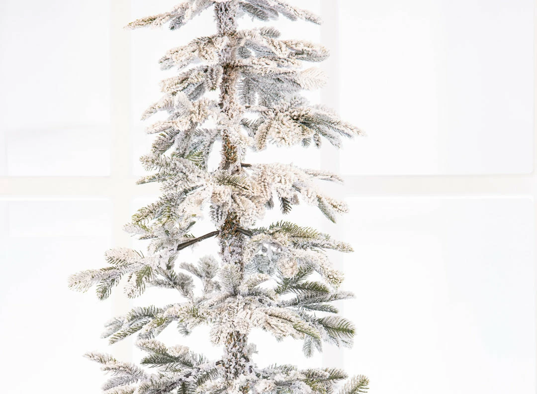 Outlet π The π
Christmas Palace 10 FT ALPINE FIR SNOWY TREE UNLIT π
Christmas TREES βοΈ 2 The Christmas Palace 10 FT ALPINE FIR SNOWY TREE UNLIT CHRISTMAS TREES