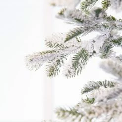 Outlet π The π
Christmas Palace 10 FT ALPINE FIR SNOWY TREE UNLIT π
Christmas TREES βοΈ 7 The Christmas Palace 10 FT ALPINE FIR SNOWY TREE UNLIT CHRISTMAS TREES