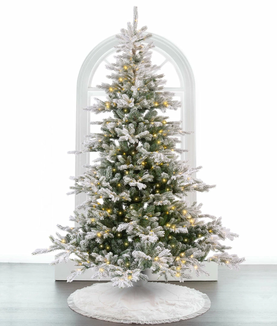 Best reviews of π The π
Christmas Palace 7 FT GRANDIS FIR SNOWY PRE LIT WARM WHITE MICRO LED π 1 The Christmas Palace 7 FT GRANDIS FIR SNOWY PRE LIT WARM WHITE MICRO LED