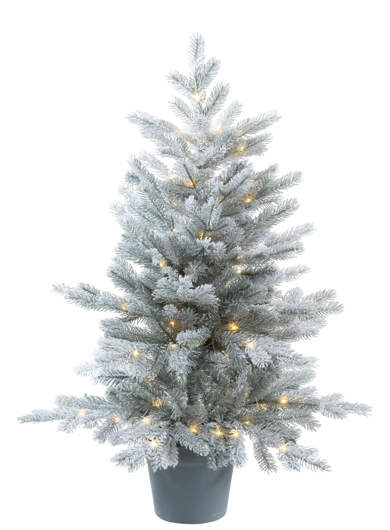 Cheapest ❤️ The ❄ Christmas Palace 3 FT FROSTED GRANDIS POTTED TREE PRE LIT WARM WHITE MICRO LED ✨ 1 The Christmas Palace 3 FT FROSTED GRANDIS POTTED TREE PRE LIT WARM WHITE MICRO LED