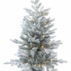 The Christmas Palace CHRISTMAS TREES 4 FT FROSTED GRANDIS POTTED TREE PRE LIT WARM WHITE MICRO LED