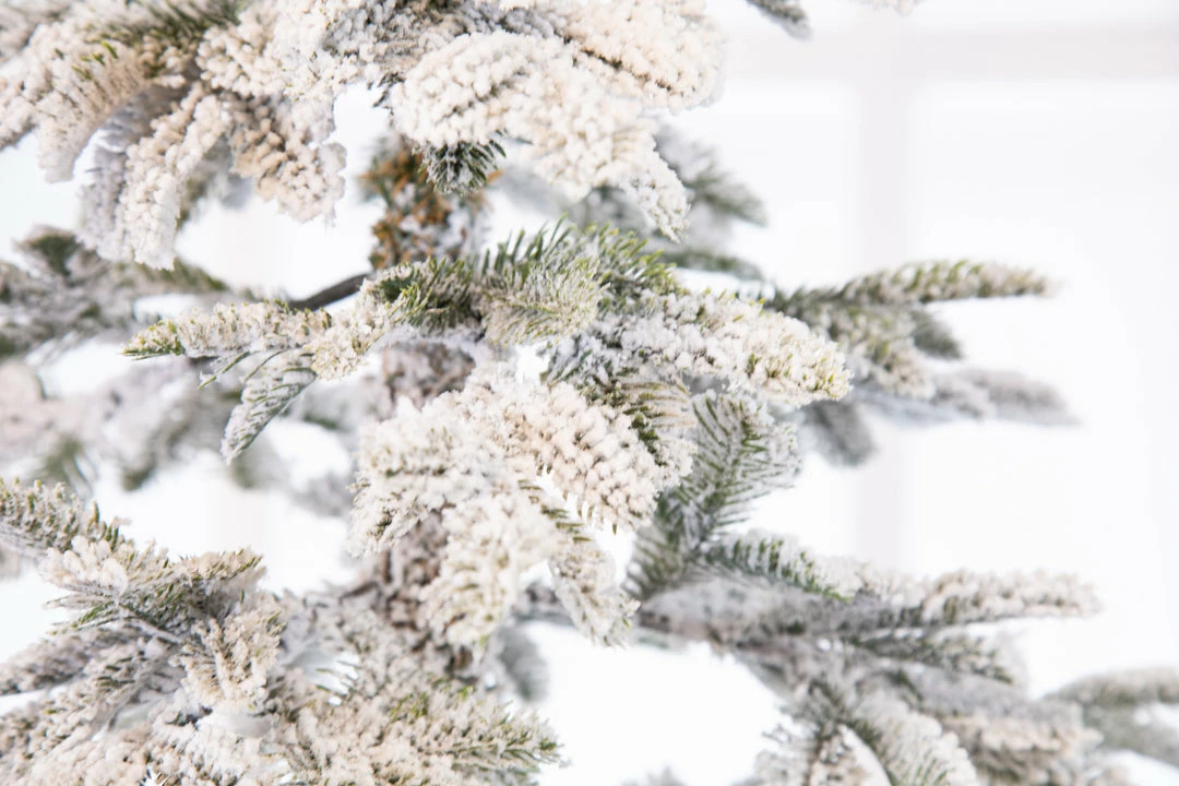 Best deal π The β Christmas Palace β Christmas TREES 6 FT ALPINE FIR SNOWY TREE PRE LIT WARM WHITE LIGHTS 𧨠3 The Christmas Palace CHRISTMAS TREES 6 FT ALPINE FIR SNOWY TREE PRE LIT WARM WHITE LIGHTS