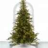 The Christmas Palace 10 FT GRANDIS FIR PRE LIT WARM WHITE MICRO LED