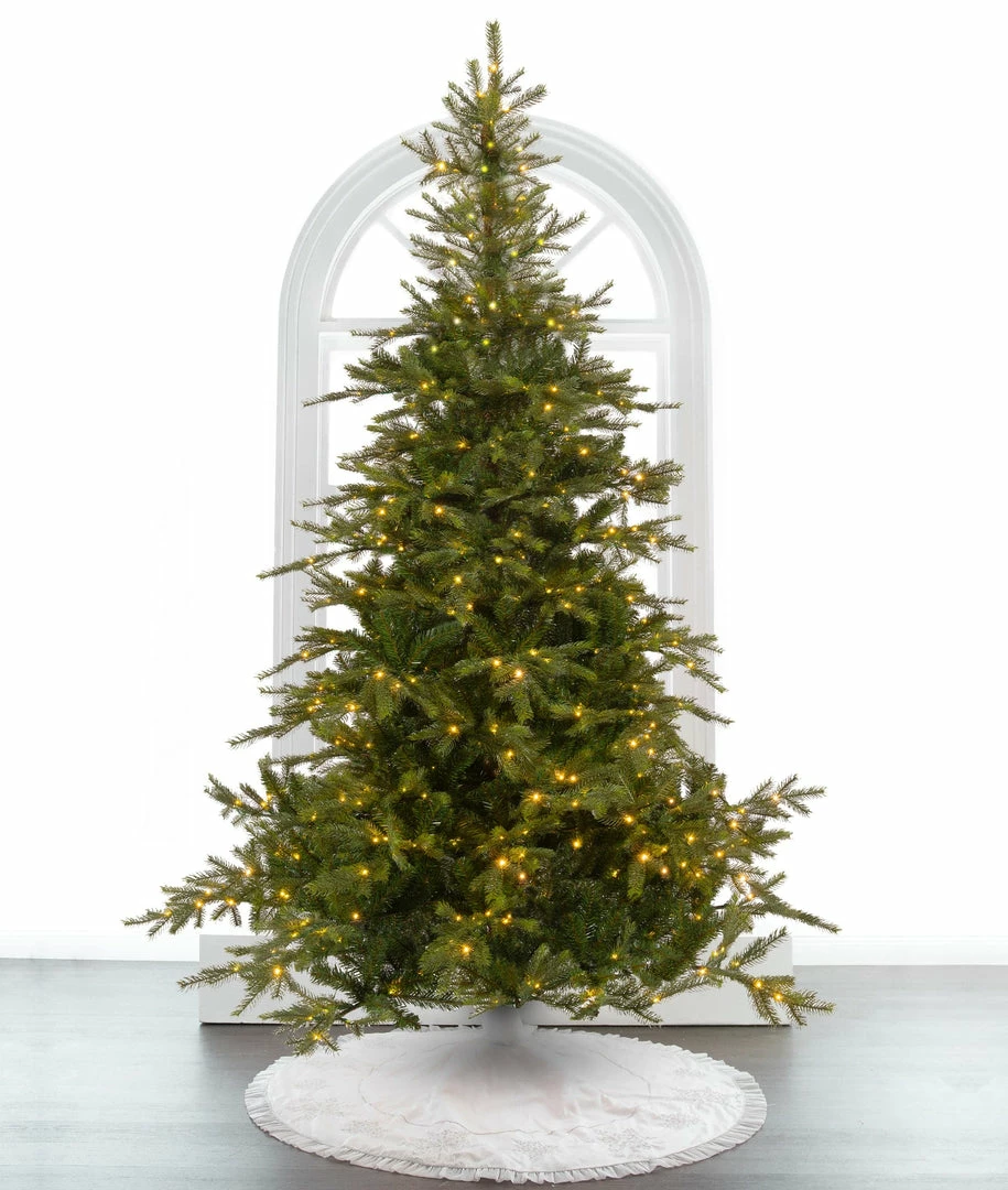 Best reviews of π The β Christmas Palace β Christmas TREES 6 FT GRANDIS FIR PRE LIT WARM WHITE MICRO LED βοΈ 1 The Christmas Palace CHRISTMAS TREES 6 FT GRANDIS FIR PRE LIT WARM WHITE MICRO LED