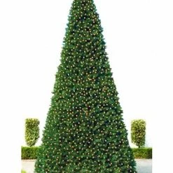 The Christmas Palace CHRISTMAS TREES 24 FT OLYMPIA TREE PRELIT WARM WHITE LED