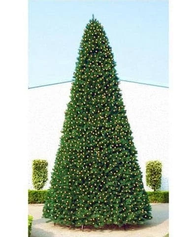 Promo π The β Christmas Palace 40 FT OLYMPIA TREE PRELIT WARM WHITE LED β Christmas TREES π€© 1 The Christmas Palace 40 FT OLYMPIA TREE PRELIT WARM WHITE LED CHRISTMAS TREES