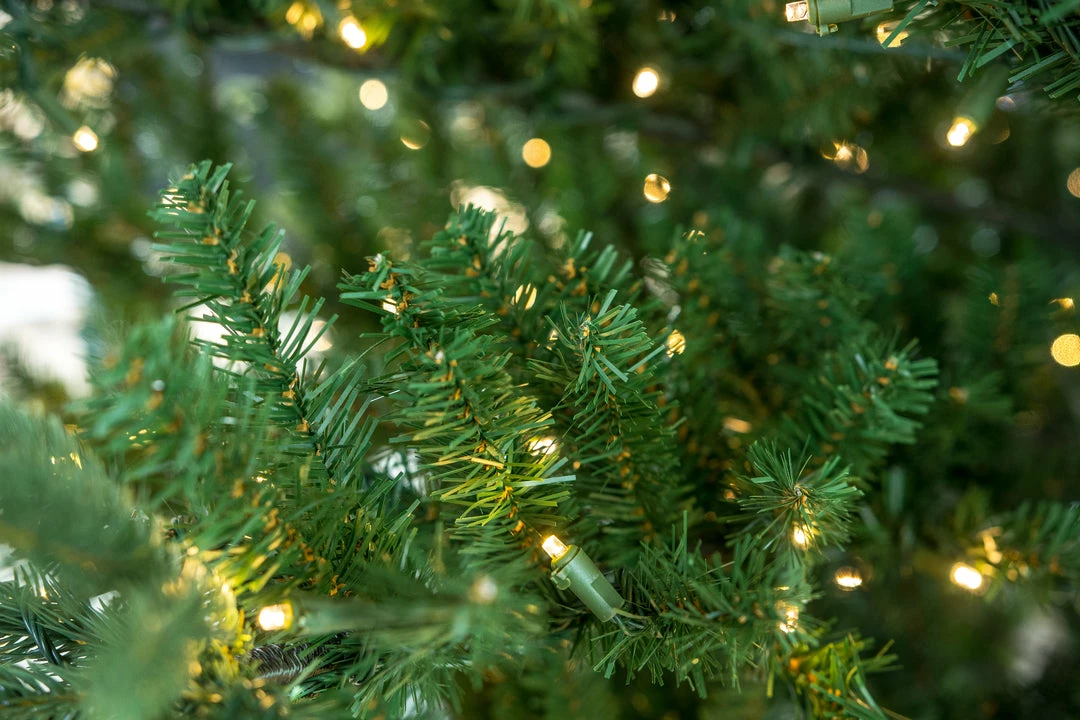 Coupon π― The π
Christmas Palace 7.5 FT VIENIA TREE PRE LIT WARM WHITE LED LIGHTS π
Christmas TREES π 2 The Christmas Palace 7.5 FT VIENIA TREE PRE LIT WARM WHITE LED LIGHTS CHRISTMAS TREES