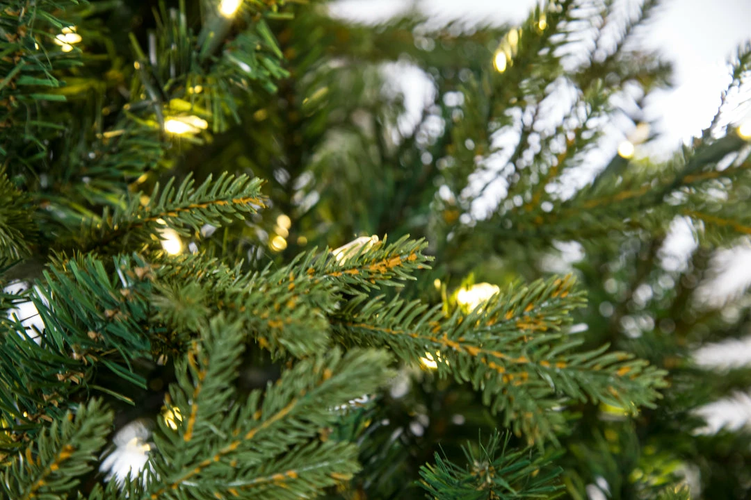 Discount π― The π
Christmas Palace 7.5 FT NORWAY SLIM TREE PRE LIT WARM WHITE LED LIGHTS π
Christmas TREES π 4 The Christmas Palace 7.5 FT NORWAY SLIM TREE PRE LIT WARM WHITE LED LIGHTS CHRISTMAS TREES