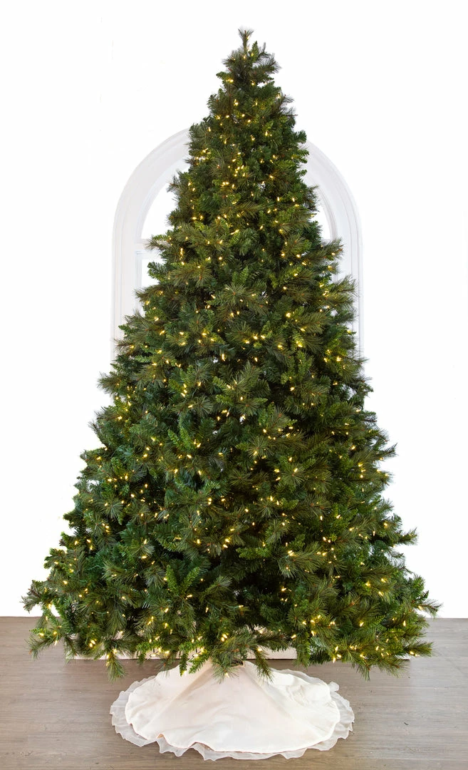 Coupon π― The π
Christmas Palace π
Christmas TREES 10 FT BELGIUM DELUXE MIX TREE PRE LIT WARM WHITE LED LIGHTS π₯° 1 The Christmas Palace CHRISTMAS TREES 10 FT BELGIUM DELUXE MIX TREE PRE LIT WARM WHITE LED LIGHTS