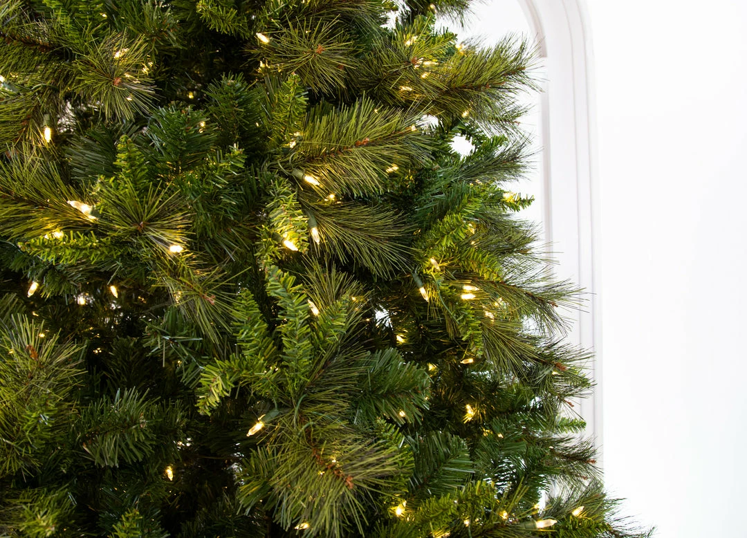 Coupon π― The π
Christmas Palace π
Christmas TREES 10 FT BELGIUM DELUXE MIX TREE PRE LIT WARM WHITE LED LIGHTS π₯° 2 The Christmas Palace CHRISTMAS TREES 10 FT BELGIUM DELUXE MIX TREE PRE LIT WARM WHITE LED LIGHTS