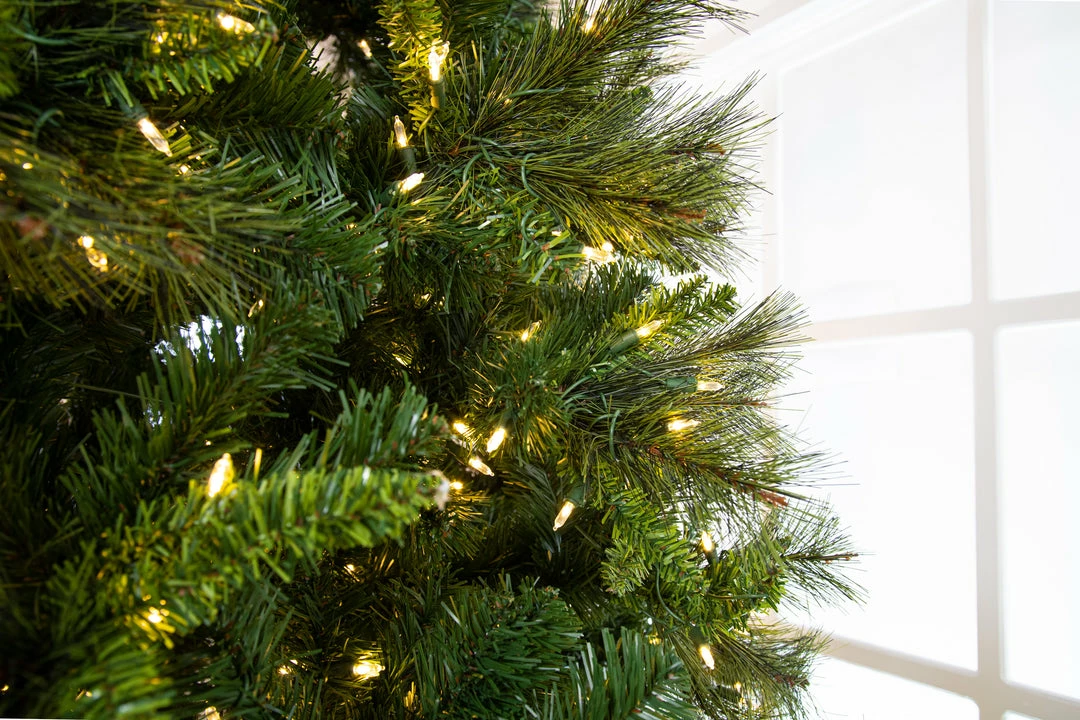 Coupon π― The π
Christmas Palace π
Christmas TREES 10 FT BELGIUM DELUXE MIX TREE PRE LIT WARM WHITE LED LIGHTS π₯° 3 The Christmas Palace CHRISTMAS TREES 10 FT BELGIUM DELUXE MIX TREE PRE LIT WARM WHITE LED LIGHTS