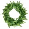The Christmas Palace 24" FOXTAIL WREATH UNLIT Wreaths