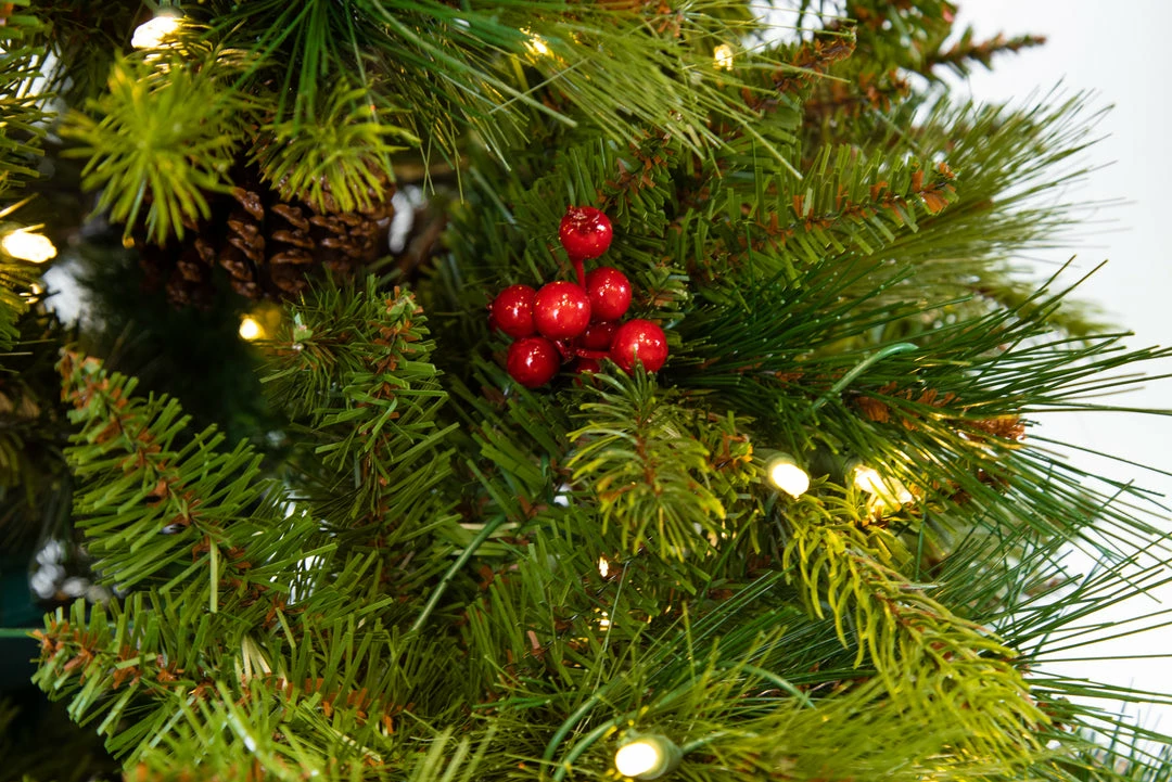 Best reviews of π₯ The π Christmas Palace 7 FT FOREST BERRY FIR TREE PRELIT CLEAR LED LIGHTS π 2 The Christmas Palace 7 FT FOREST BERRY FIR TREE PRELIT CLEAR LED LIGHTS