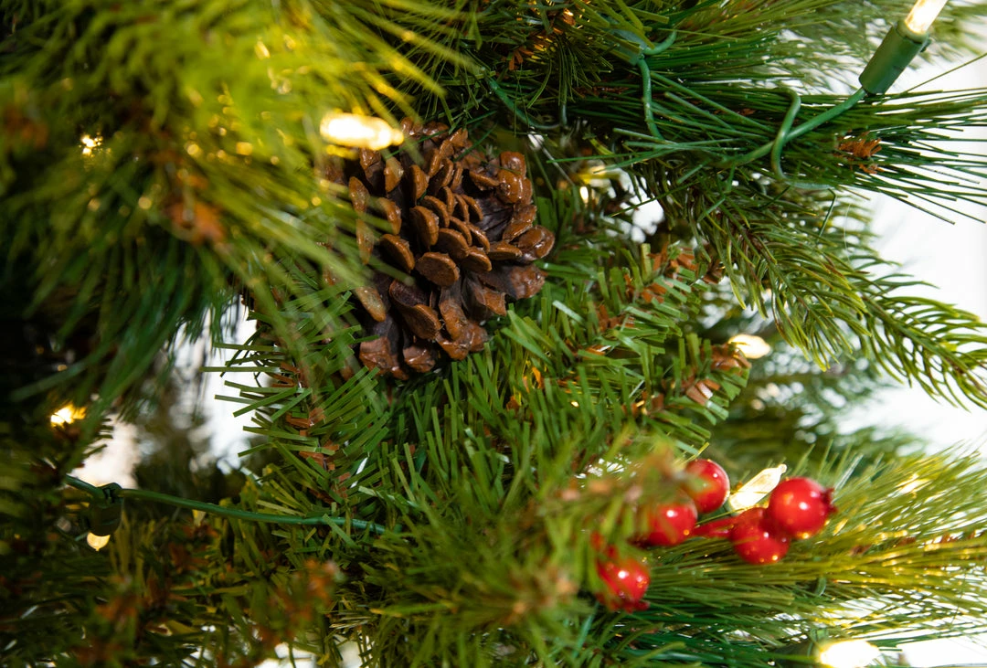 Best reviews of π₯ The π Christmas Palace 7 FT FOREST BERRY FIR TREE PRELIT CLEAR LED LIGHTS π 3 The Christmas Palace 7 FT FOREST BERRY FIR TREE PRELIT CLEAR LED LIGHTS