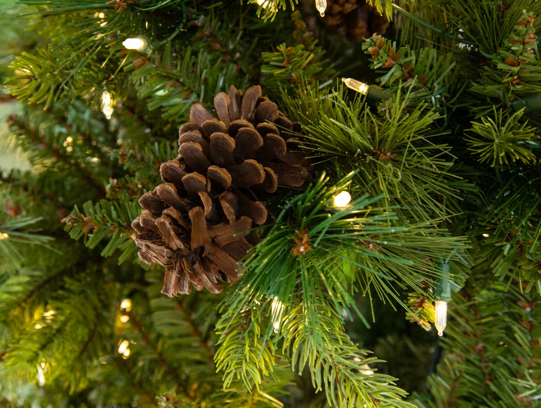 Best reviews of π₯ The π Christmas Palace 7 FT FOREST BERRY FIR TREE PRELIT CLEAR LED LIGHTS π 4 The Christmas Palace 7 FT FOREST BERRY FIR TREE PRELIT CLEAR LED LIGHTS