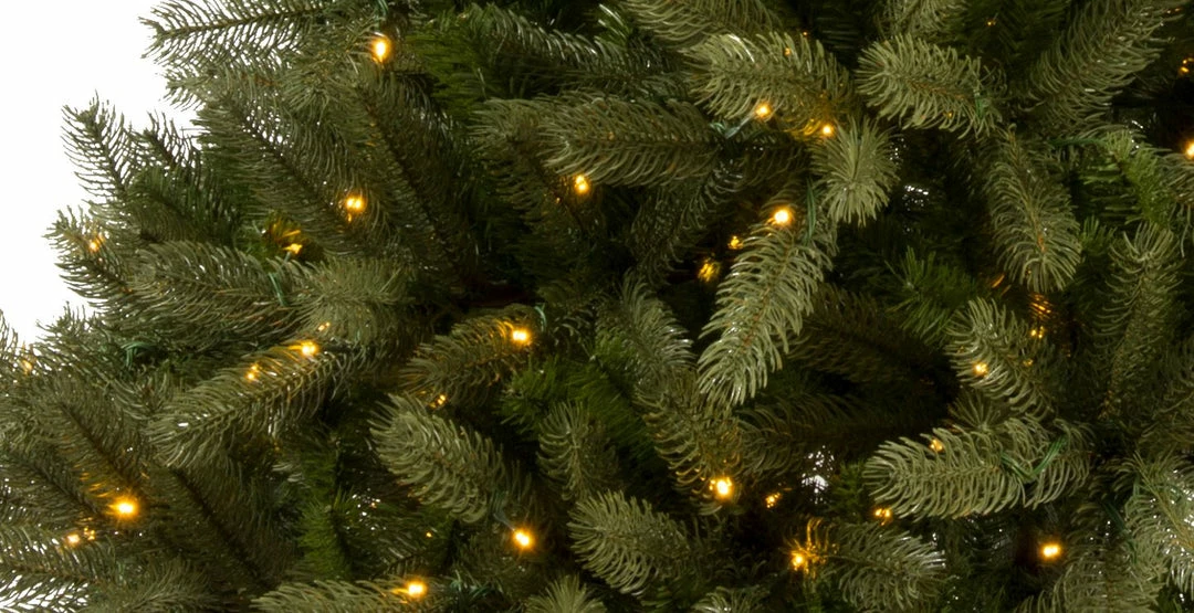 Brand new π The β Christmas Palace β Christmas TREES 7.5 FT FREIBURG PINE PRE LIT WARM WHITE MICRO LED β 2 The Christmas Palace CHRISTMAS TREES 7.5 FT FREIBURG PINE PRE LIT WARM WHITE MICRO LED