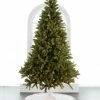 The Christmas Palace 9 FT FREIBURG PINE PRE LIT WARM WHITE MICRO LED