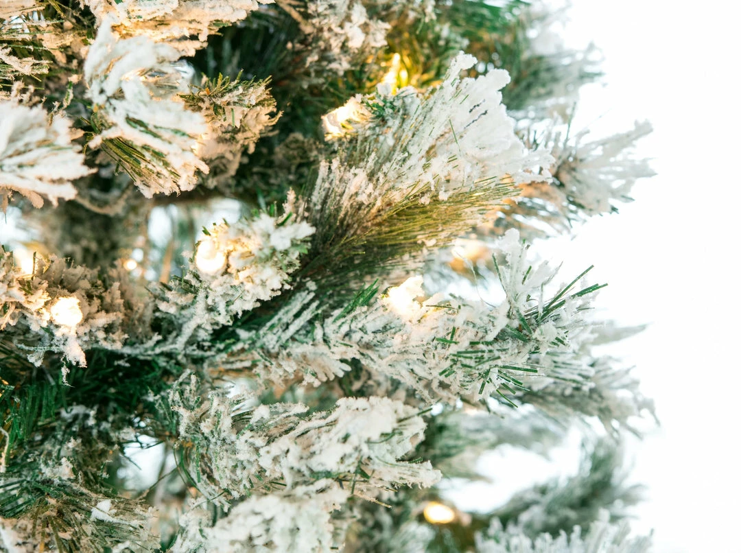 Outlet π The β Christmas Palace 5 FT FLOCKED TREE PRE LIT CLEAR LIGHTS β Christmas TREES 𧨠2 The Christmas Palace 5 FT FLOCKED TREE PRE LIT CLEAR LIGHTS CHRISTMAS TREES