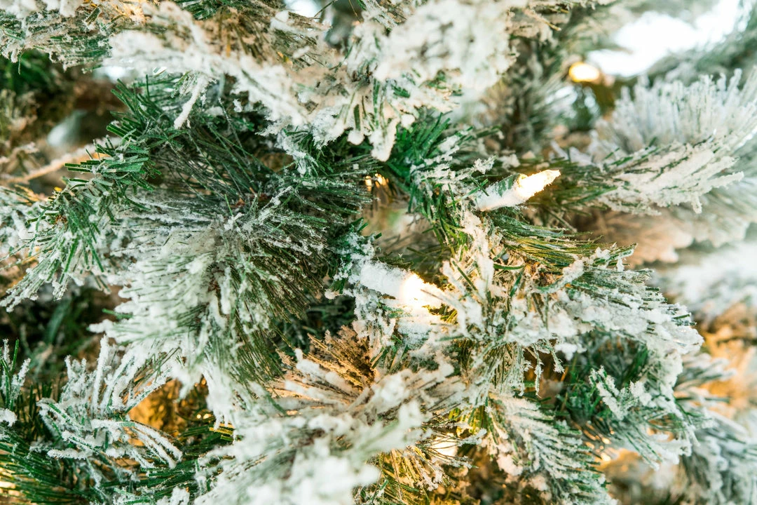 Outlet π The β Christmas Palace 5 FT FLOCKED TREE PRE LIT CLEAR LIGHTS β Christmas TREES 𧨠3 The Christmas Palace 5 FT FLOCKED TREE PRE LIT CLEAR LIGHTS CHRISTMAS TREES