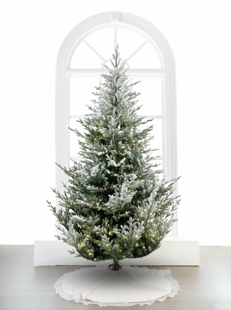 Buy β¨ The π Christmas Palace π Christmas TREES 10 FT NORWAY SPRUCE SNOWY PRE LIT WARM WHITE LED LIGHTS π 1 The Christmas Palace CHRISTMAS TREES 10 FT NORWAY SPRUCE SNOWY PRE LIT WARM WHITE LED LIGHTS