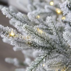 The Christmas Palace 7 FT NORWAY SPRUCE SNOWY PRE LIT WARM WHITE LED LIGHTS CHRISTMAS TREES