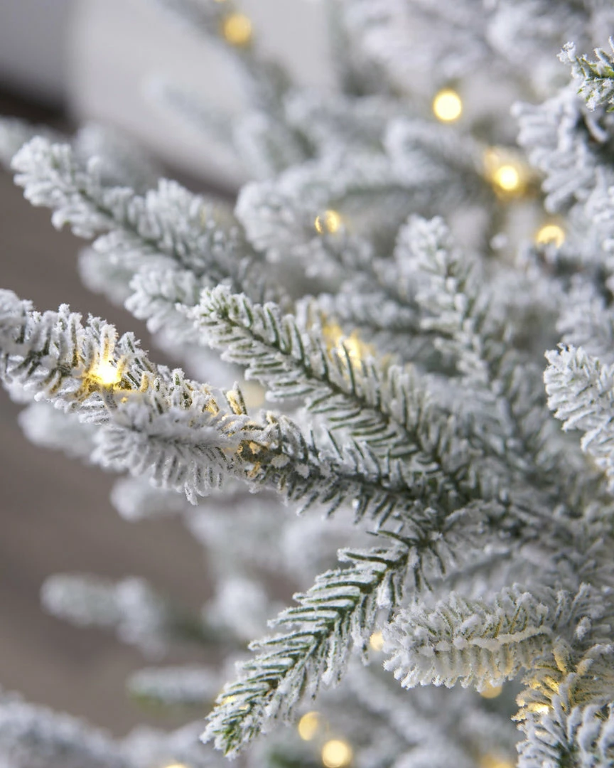 Best reviews of π The π Christmas Palace 9 FT NORWAY SPRUCE SNOWY PRE LIT WARM WHITE LED LIGHTS π 2 The Christmas Palace 9 FT NORWAY SPRUCE SNOWY PRE LIT WARM WHITE LED LIGHTS