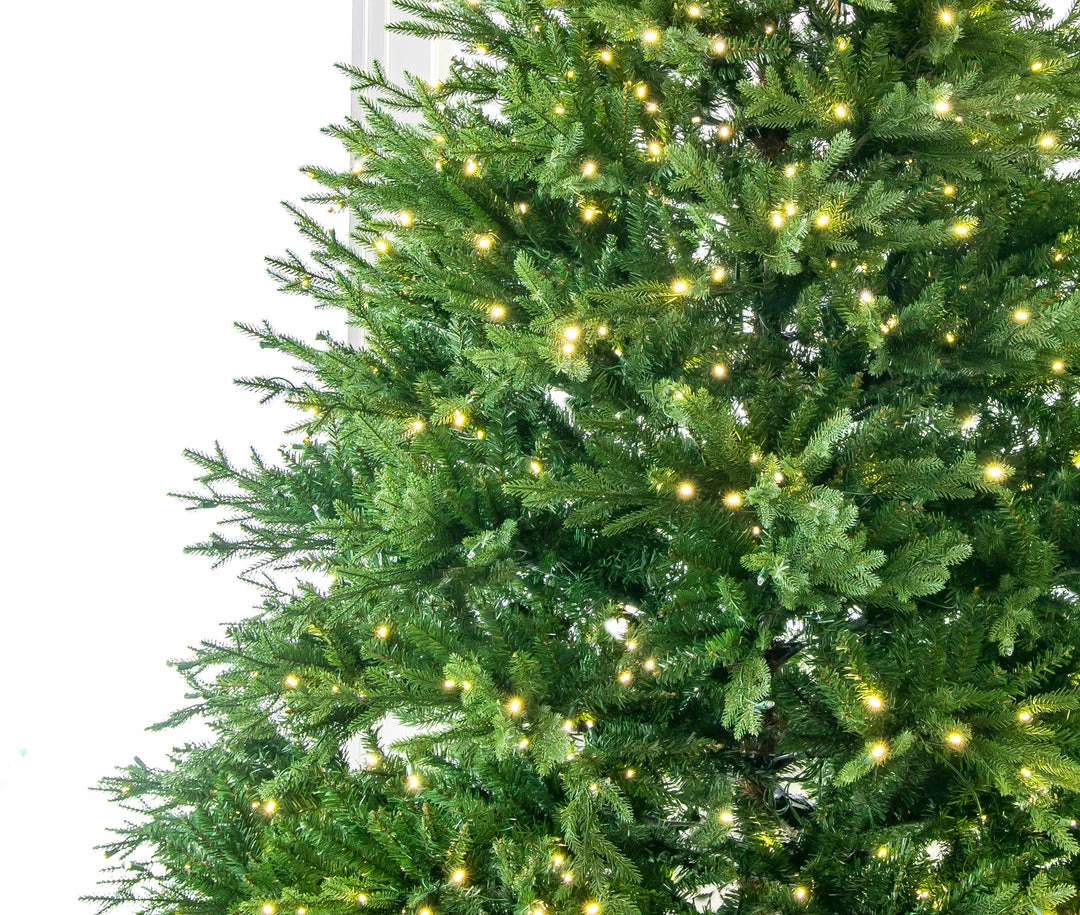 Cheap π The π Christmas Palace 12 FT KENTUCKY FIR TREE PRE LIT WARM WHITE π Christmas TREES π 3 The Christmas Palace 12 FT KENTUCKY FIR TREE PRE LIT WARM WHITE CHRISTMAS TREES