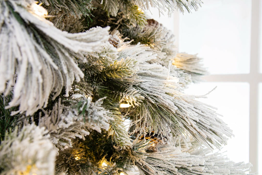 Cheap π The π
Christmas Palace π
Christmas TREES 10 FT SNOWBELL PINE TREE PRE LIT CLEAR TWINKLE LIGHT π 2 The Christmas Palace CHRISTMAS TREES 10 FT SNOWBELL PINE TREE PRE LIT CLEAR TWINKLE LIGHT