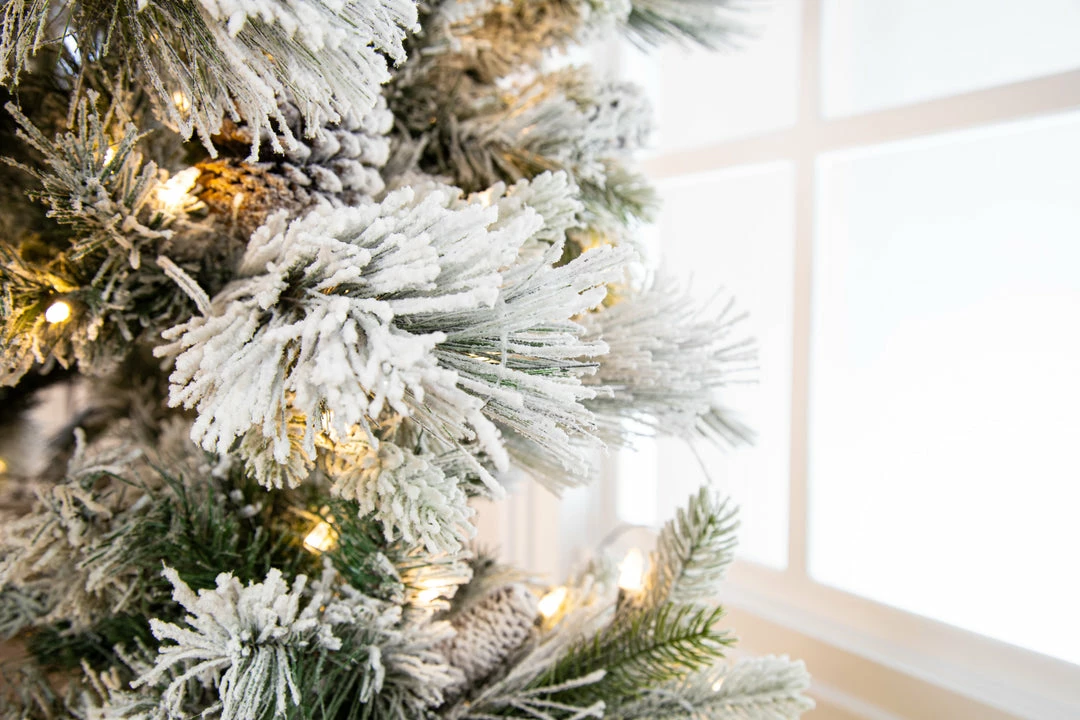 Cheap π The π
Christmas Palace π
Christmas TREES 10 FT SNOWBELL PINE TREE PRE LIT CLEAR TWINKLE LIGHT π 3 The Christmas Palace CHRISTMAS TREES 10 FT SNOWBELL PINE TREE PRE LIT CLEAR TWINKLE LIGHT