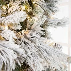 Cheap π The π
Christmas Palace π
Christmas TREES 10 FT SNOWBELL PINE TREE PRE LIT CLEAR TWINKLE LIGHT π 8 The Christmas Palace CHRISTMAS TREES 10 FT SNOWBELL PINE TREE PRE LIT CLEAR TWINKLE LIGHT