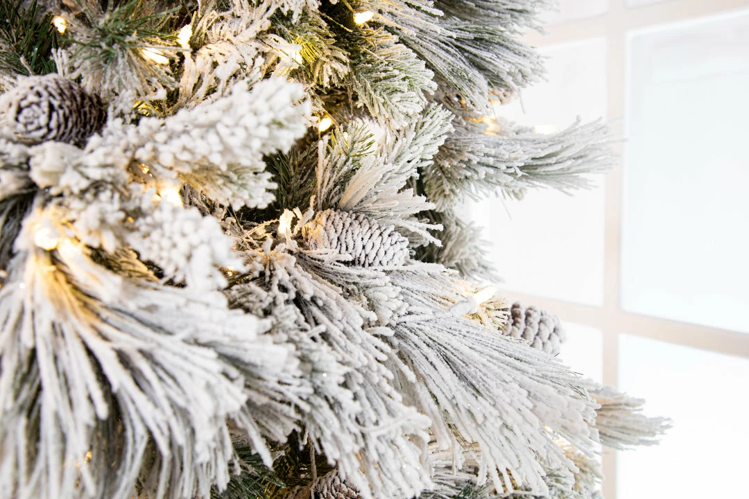 Cheap π The π
Christmas Palace π
Christmas TREES 10 FT SNOWBELL PINE TREE PRE LIT CLEAR TWINKLE LIGHT π 4 The Christmas Palace CHRISTMAS TREES 10 FT SNOWBELL PINE TREE PRE LIT CLEAR TWINKLE LIGHT