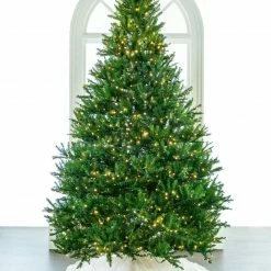 The Christmas Palace CHRISTMAS TREES 6.5 FT OREGON FIR TREE PRE LIT WARM WHITE LED LIGHTS