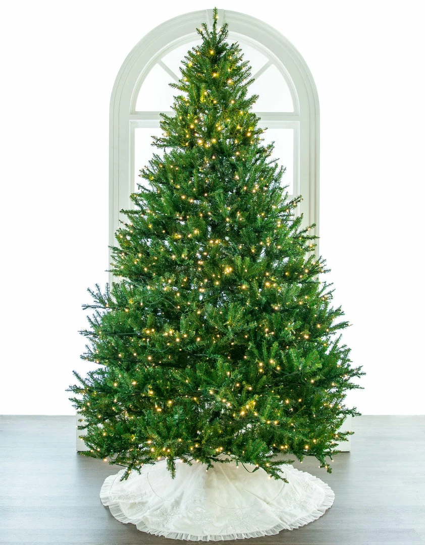 Hot Sale π The β Christmas Palace β Christmas TREES 10 FT OREGON FIR TREE PRE LIT WARM WHITE LED LIGHTS π 1 The Christmas Palace CHRISTMAS TREES 10 FT OREGON FIR TREE PRE LIT WARM WHITE LED LIGHTS