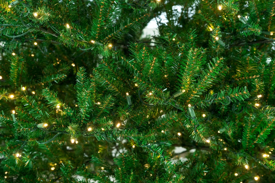 Hot Sale π The β Christmas Palace β Christmas TREES 10 FT OREGON FIR TREE PRE LIT WARM WHITE LED LIGHTS π 2 The Christmas Palace CHRISTMAS TREES 10 FT OREGON FIR TREE PRE LIT WARM WHITE LED LIGHTS