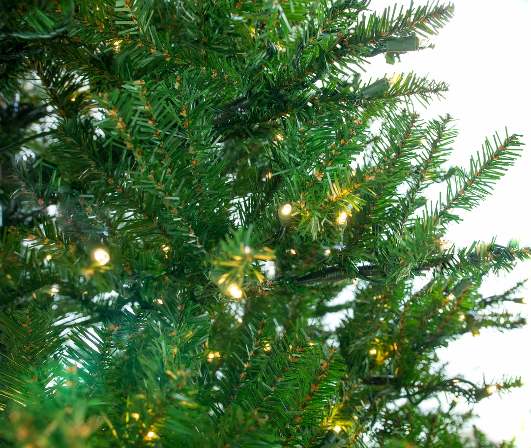 Deals ⌛ The ❄ Christmas Palace ❄ Christmas TREES 9 FT OREGON FIR TREE PRE LIT WARM WHITE LED LIGHTS ❤️ 3 The Christmas Palace CHRISTMAS TREES 9 FT OREGON FIR TREE PRE LIT WARM WHITE LED LIGHTS