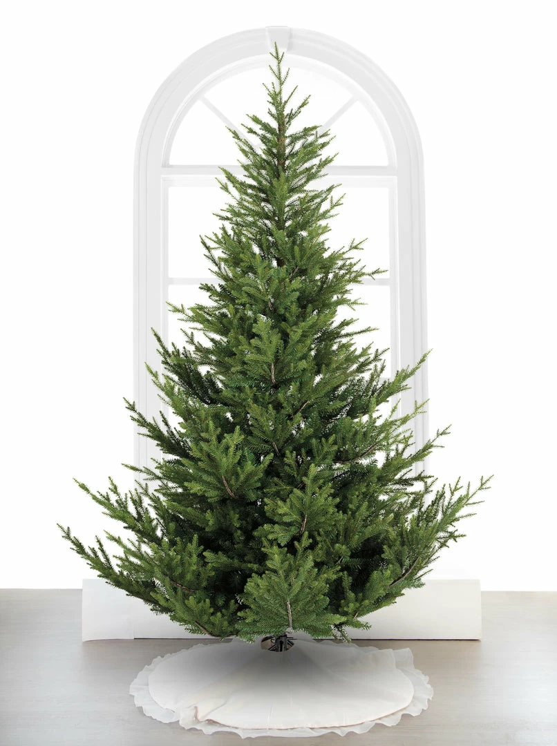 Discount β The π
Christmas Palace 10 FT NORWAY SPRUCE TREE PRE LIT WARM WHITE LED LIGHTS π
Christmas TREES β¨ 1 The Christmas Palace 10 FT NORWAY SPRUCE TREE PRE LIT WARM WHITE LED LIGHTS CHRISTMAS TREES